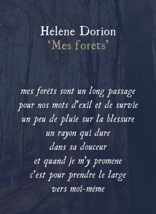 Mes forêts de Hélène Dorion